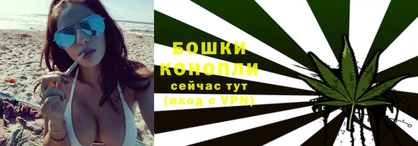 крисы Заводоуковск
