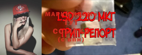 крисы Заводоуковск