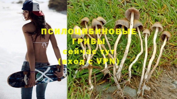 spice Заволжск